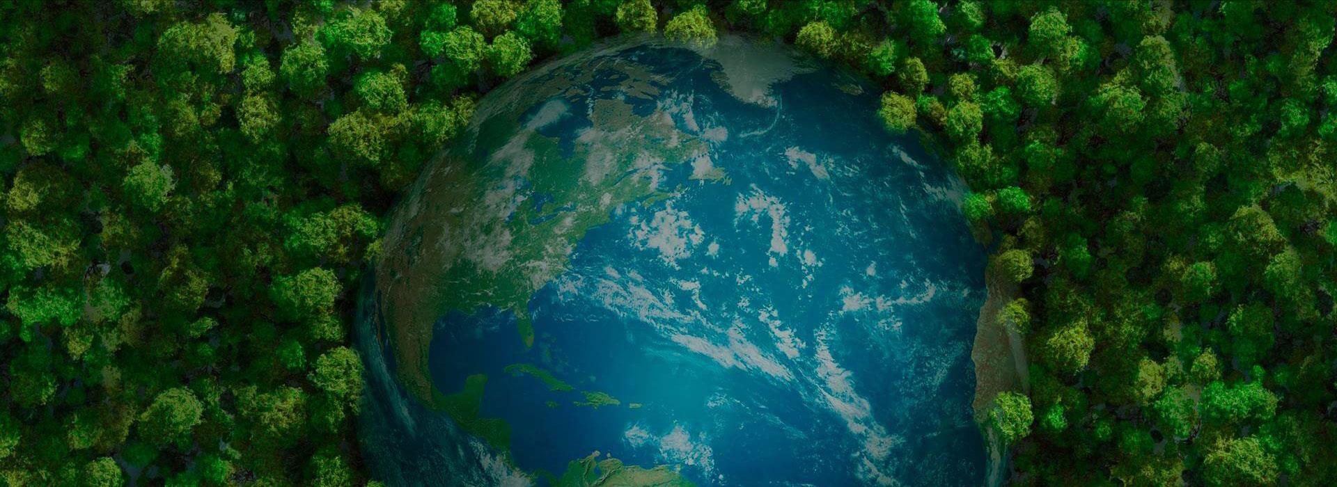 ��ȦΪ�Ķ���