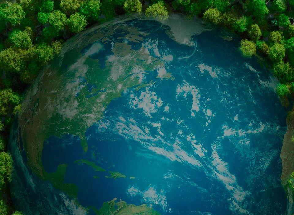 ��ȦΪ�Ķ���