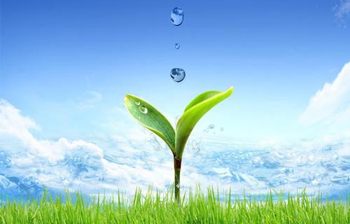 ��ȦΪ�Ķ���